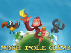 Monkey Pole Climb